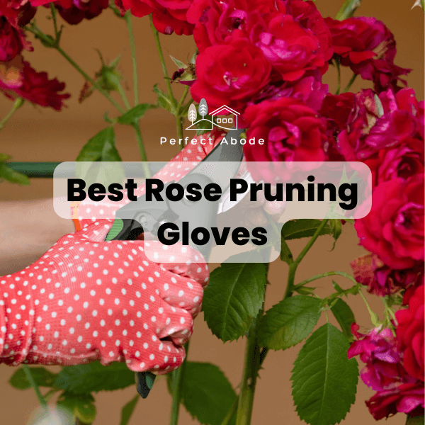 best rose pruning gloves