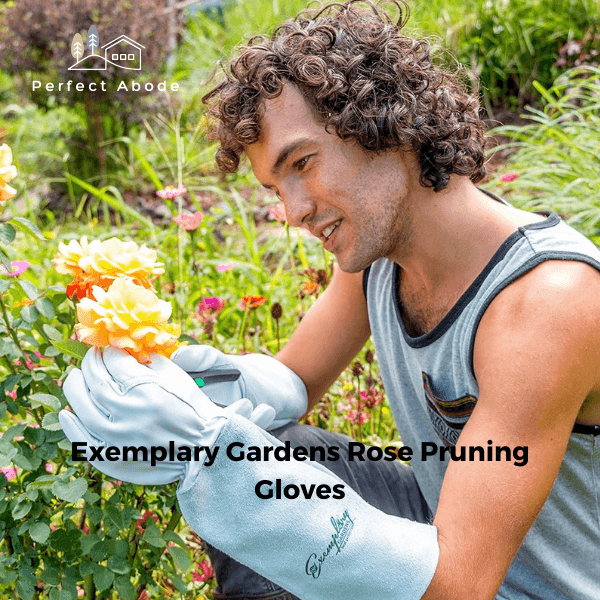 1. Exemplary Gardens Rose Pruning Gloves