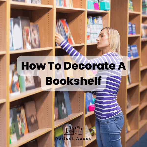 how to decorate a bookshelf