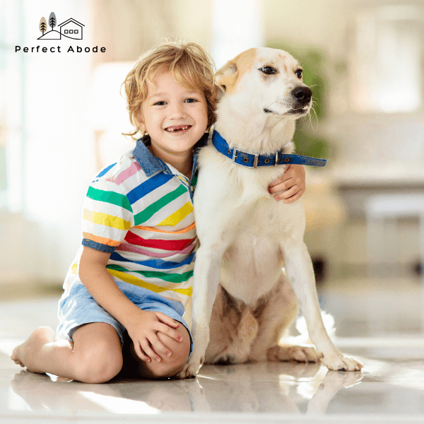 Child and Pet Safety Considerations