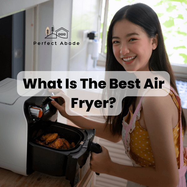 what is the best air fryer